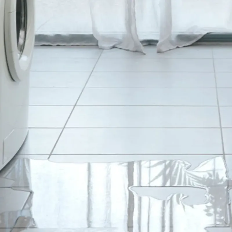 Appliance Leak Cleanup in Livermore, KY