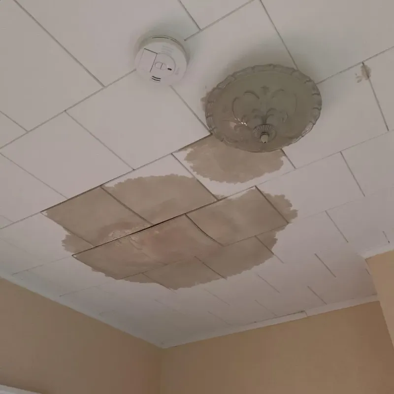 Ceiling Water Damage Repair in Livermore, KY