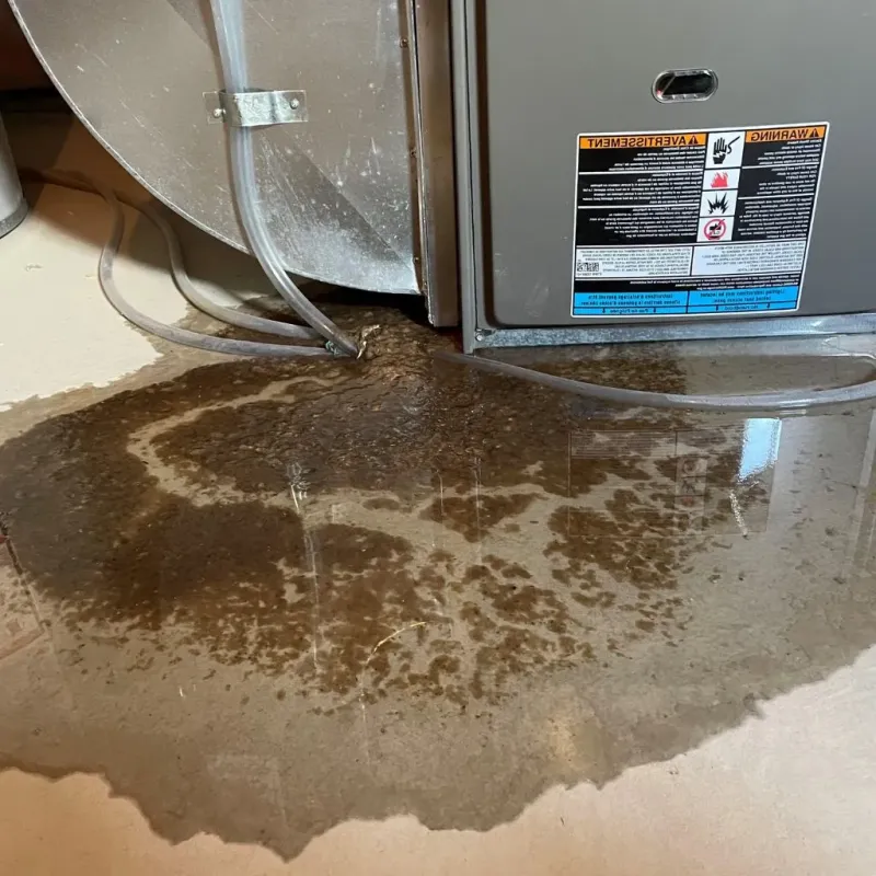 Pipe Burst and Leak Restoration in Livermore, KY