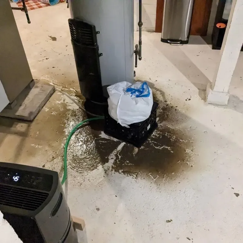 Sewage Backup Cleanup Service in Livermore, KY